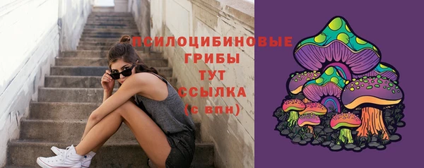 дурь Всеволожск