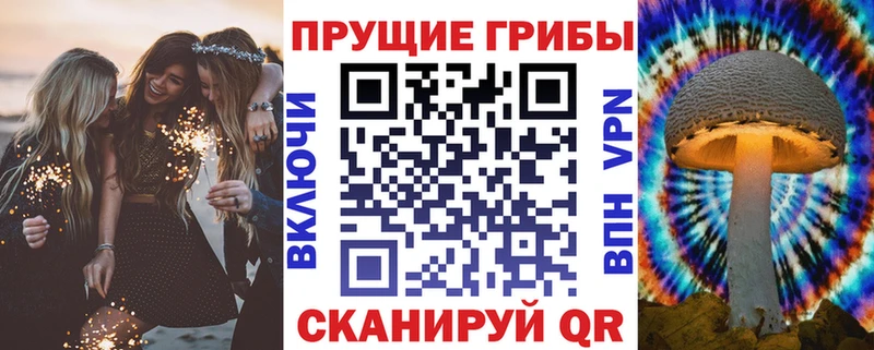 МЕГА маркетплейс  маркетплейс наркотические препараты  Псилоцибиновые грибы мухоморы  Бийск 