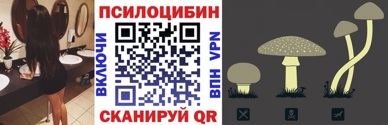 Галлюциногенные грибы MAGIC MUSHROOMS Бийск